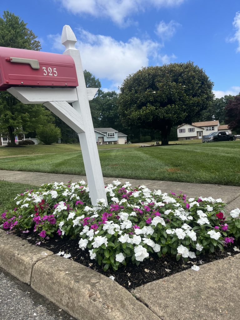 IMG_4646